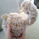 Peach Fluffy Round Cat3