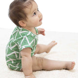 Organic Cotton Onesie / DOLLAR BILL