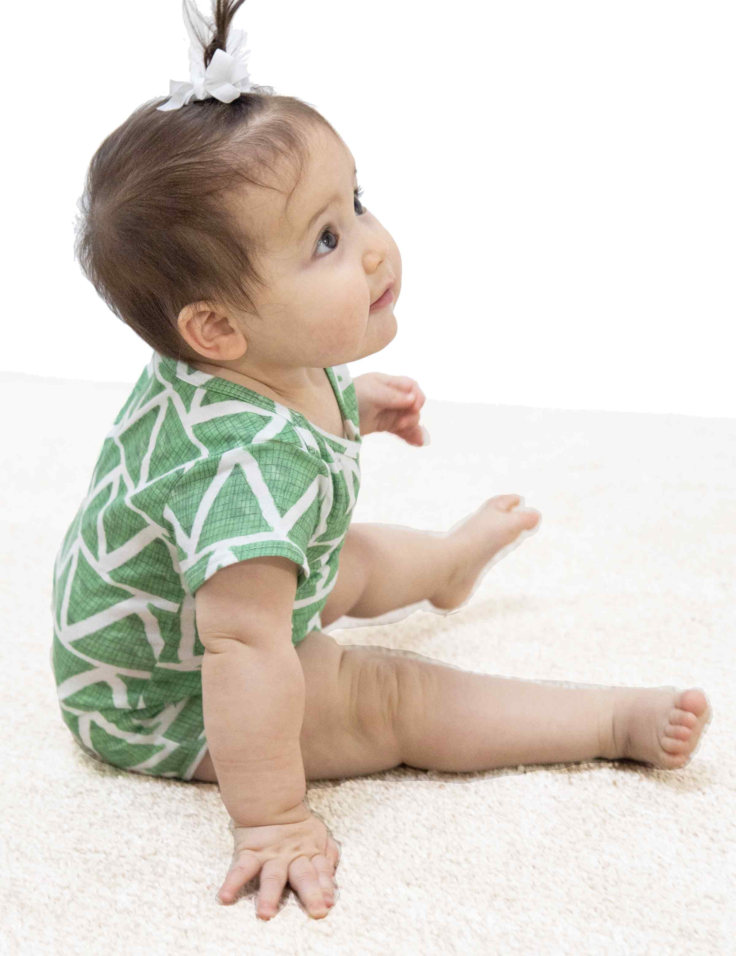 Organic Cotton Onesie / DOLLAR BILL