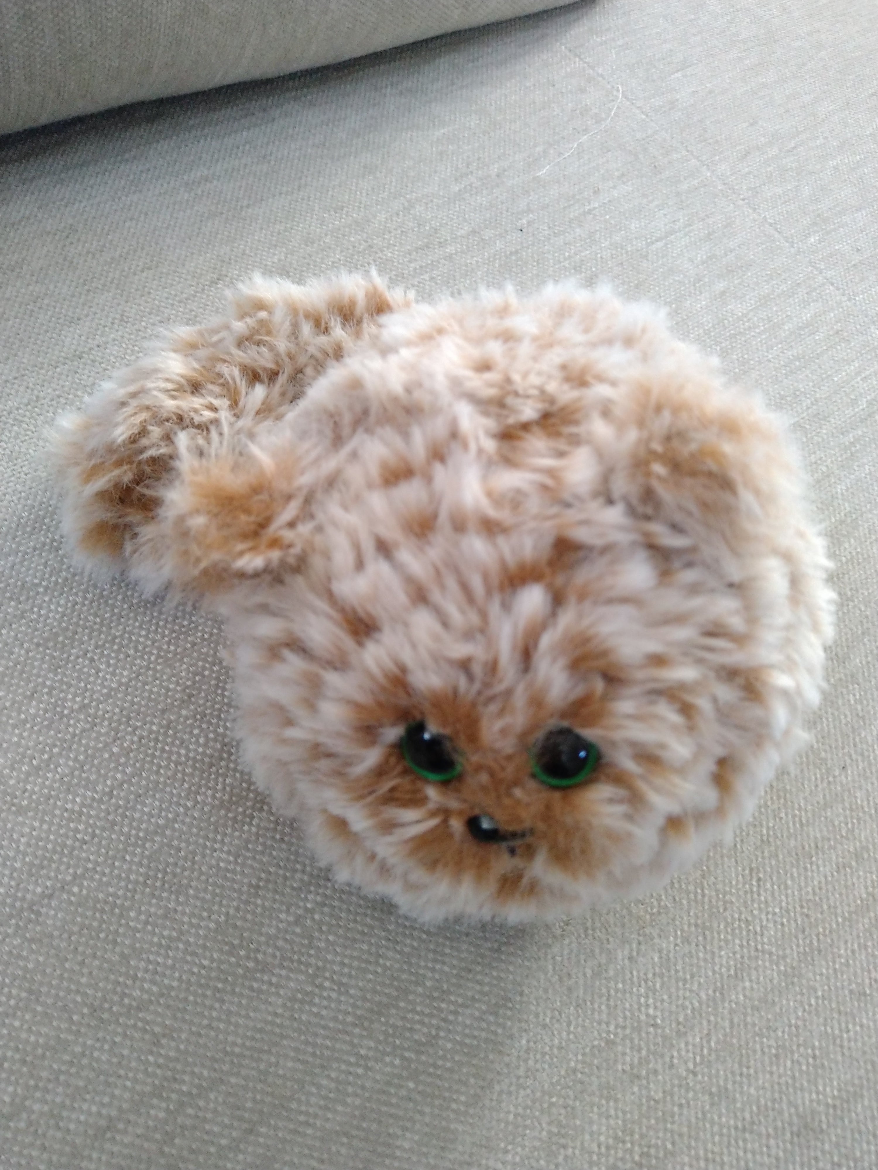 Peach Fluffy Round Cat4