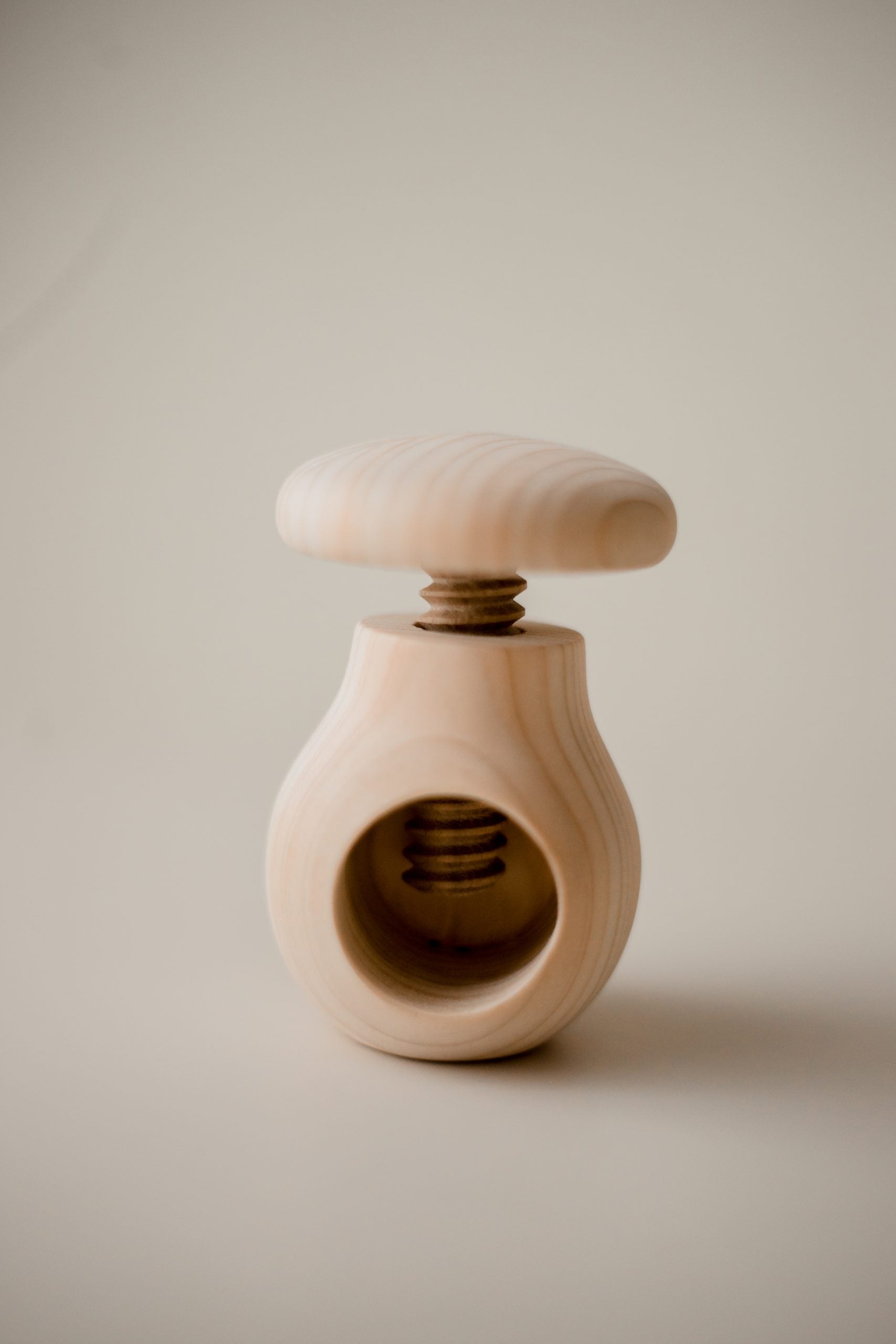 QToys Australia Screw Mushroom2