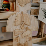 Wooden Anatomy Puzzle4