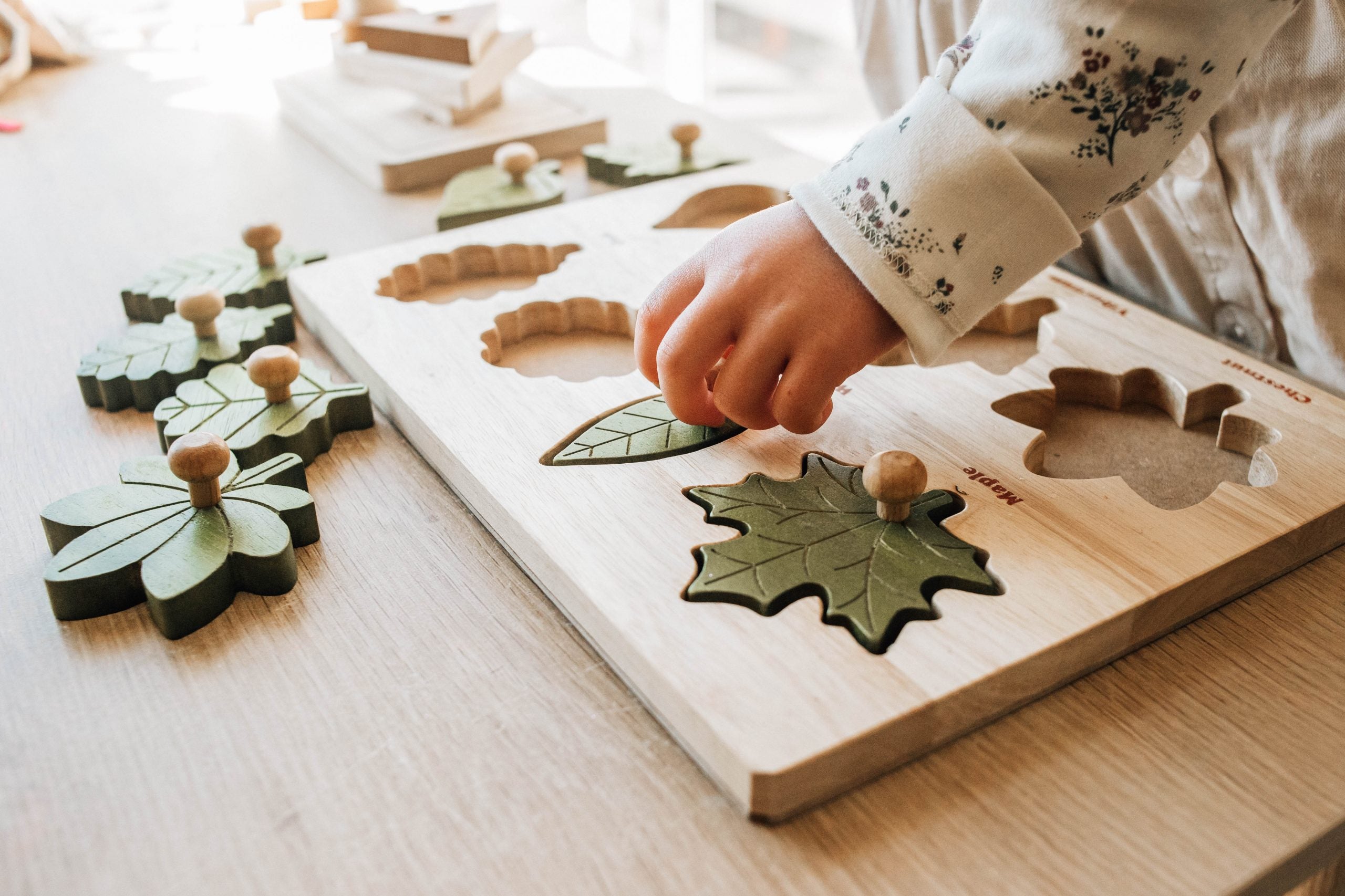 Leaf puzzle5