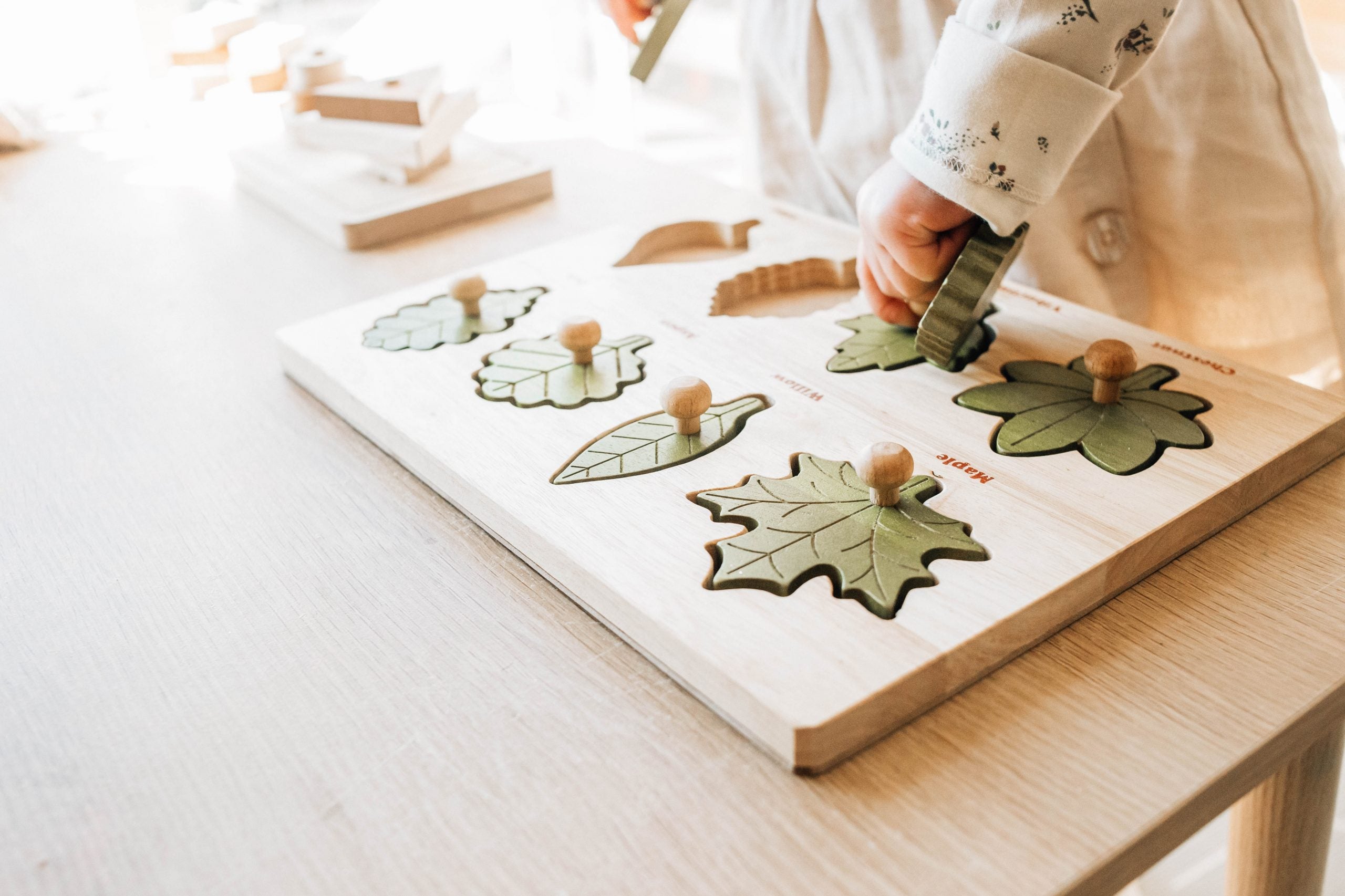 Leaf puzzle4