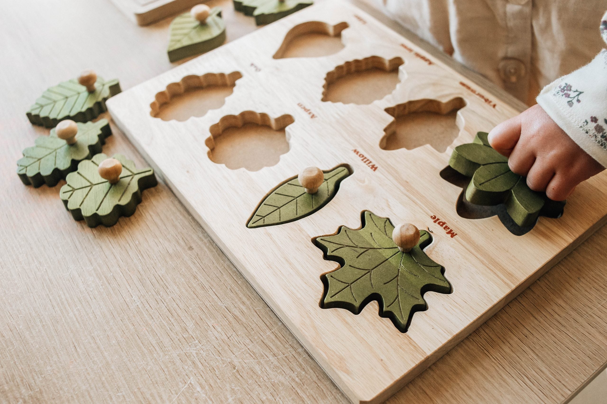 Leaf puzzle3