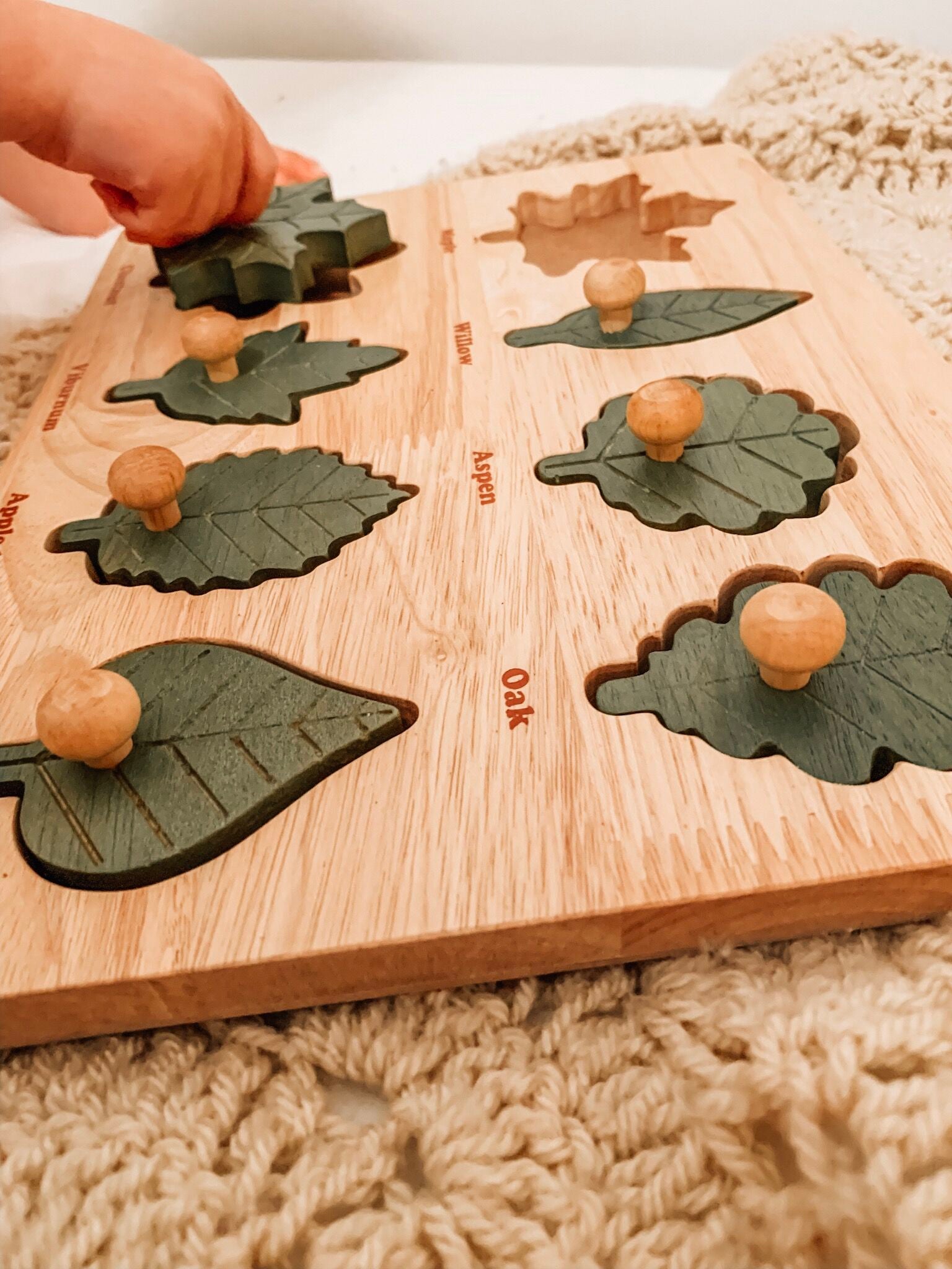 Leaf puzzle6