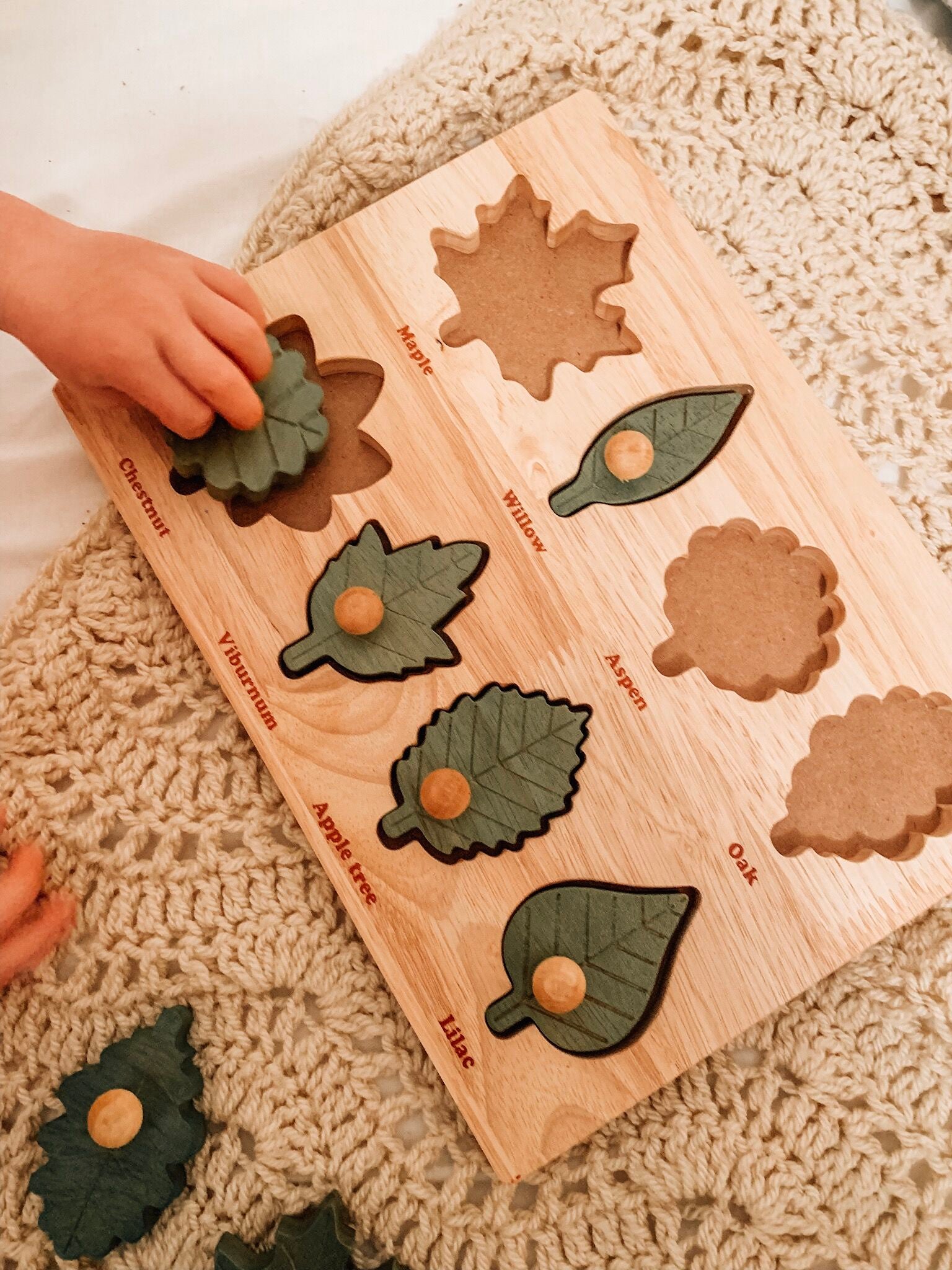 Leaf puzzle2