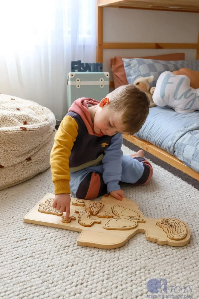 Wooden Anatomy Puzzle2