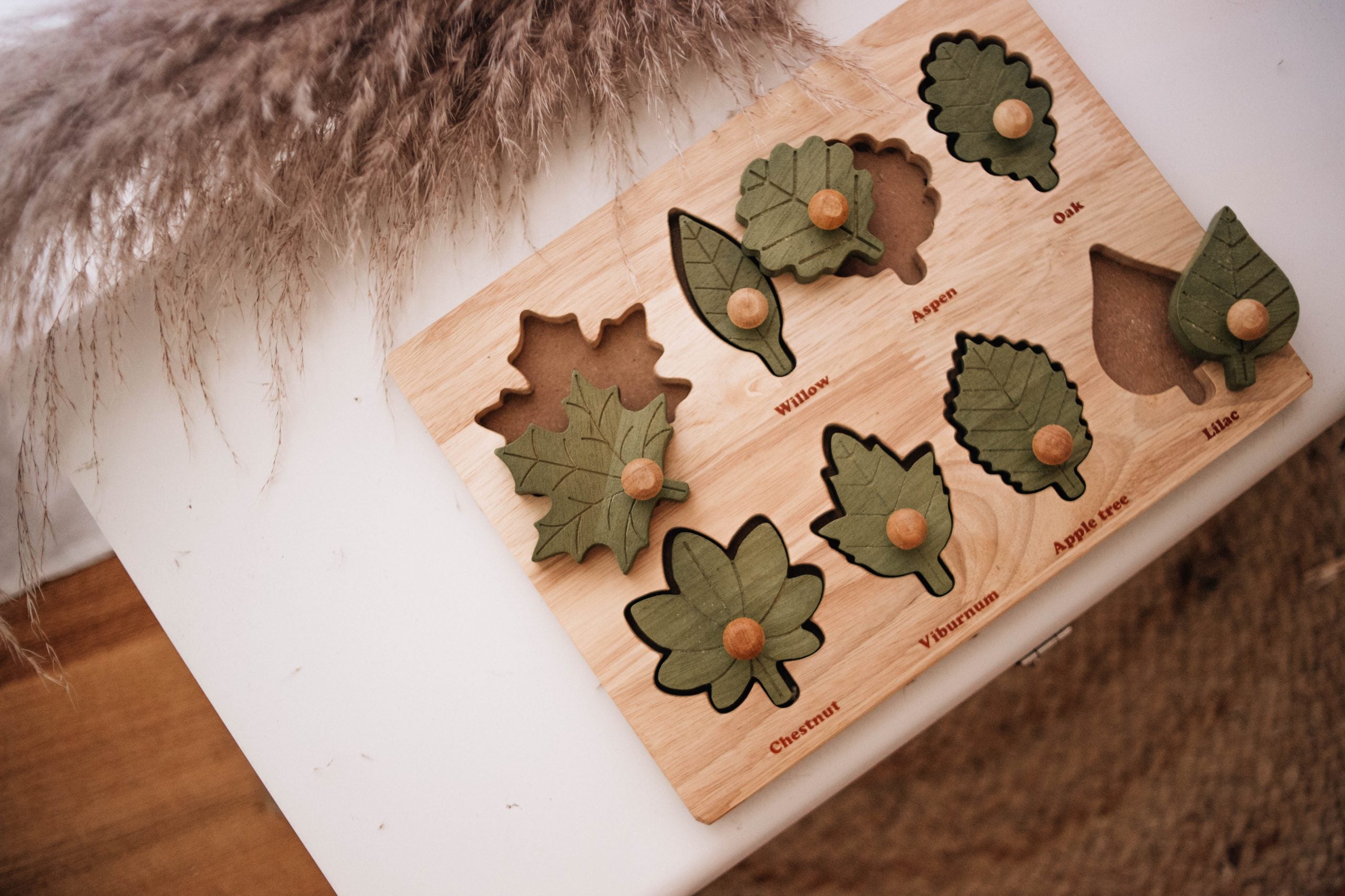 Leaf puzzle1